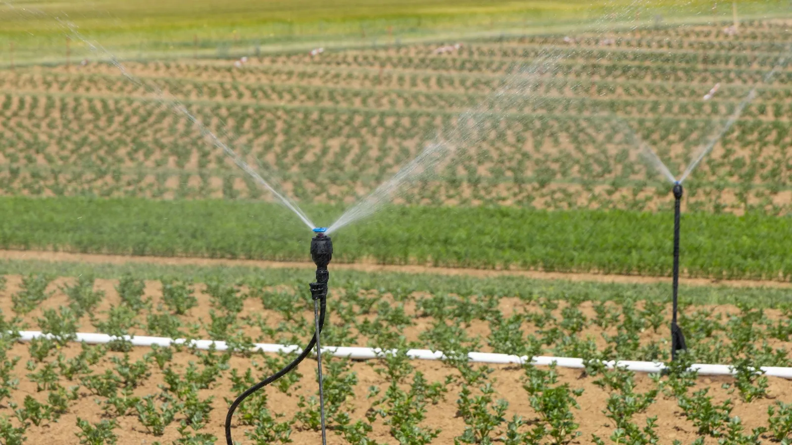 Agriculture & Irrigation